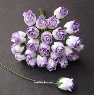 Wild Orchid - Hip Rosebuds - Lilac