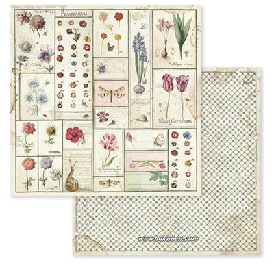 Stamperia - Spring Botanic - Herbarium   12 x 12"