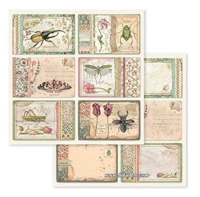 Stamperia - Spring Botanic - Cards   12 x 12"