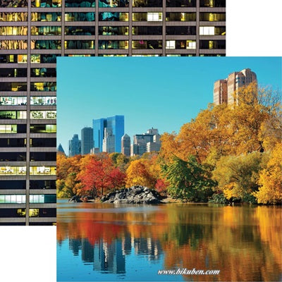 Reminisce - New York - Central Park    12 x 12"