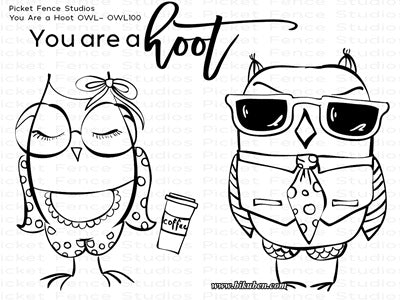 Picket Feance - Clear Stamp - You are a Hoot