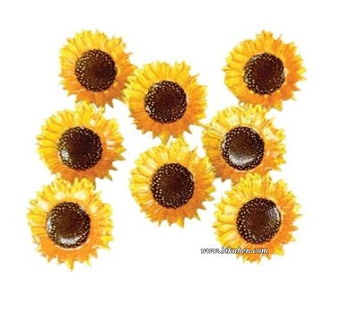 Eyelet Outlet - Brads - Sunflower