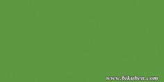 Playcut - Hobbykartong - Gressgrønn      A4