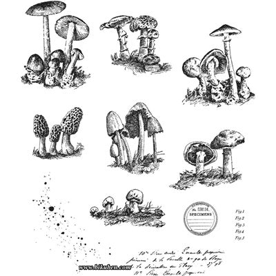 Tim Holtz Collection - Cling Stamps - Tiny Toadstools