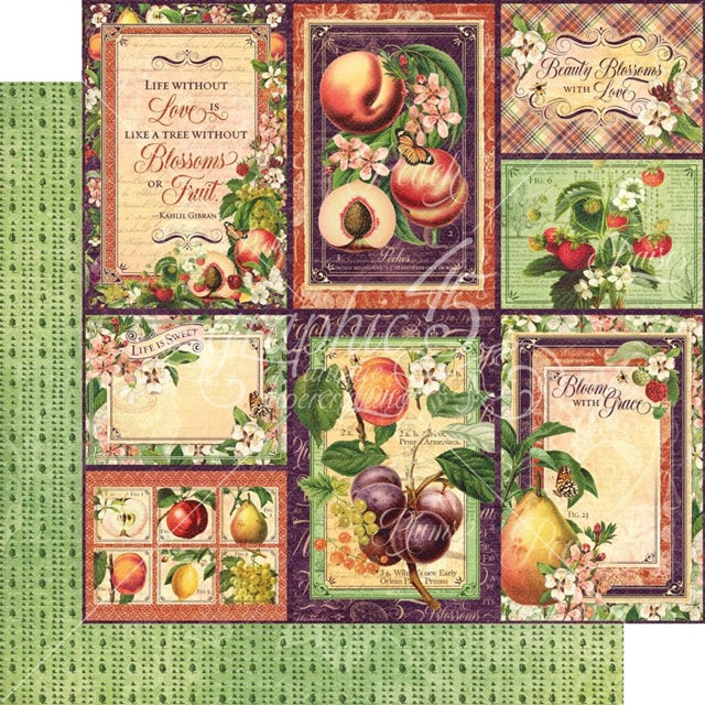 Graphic45 - Fruit and Flora - Orchard Fresh   12 x 12"