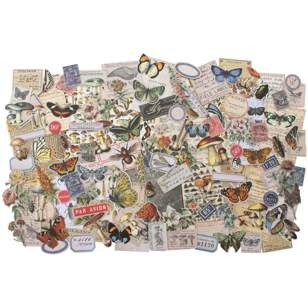 Tim Holtz - Ideaology - Ephemera Pack - Fieldnotes