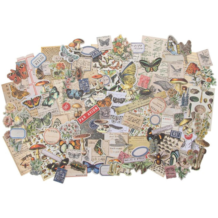 Tim Holtz - Ideaology - Ephemera Snippets - Fieldnotes