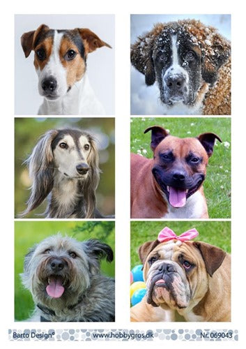 Barto Design - Utklippsark - Cute Dogs 3
