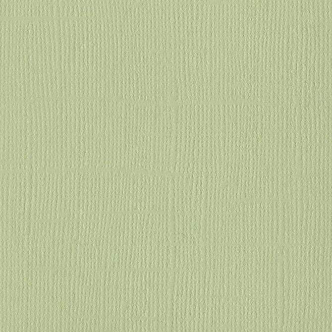 Bazzill Canvas 12 x 12 Aloe Vera grønn kartong
