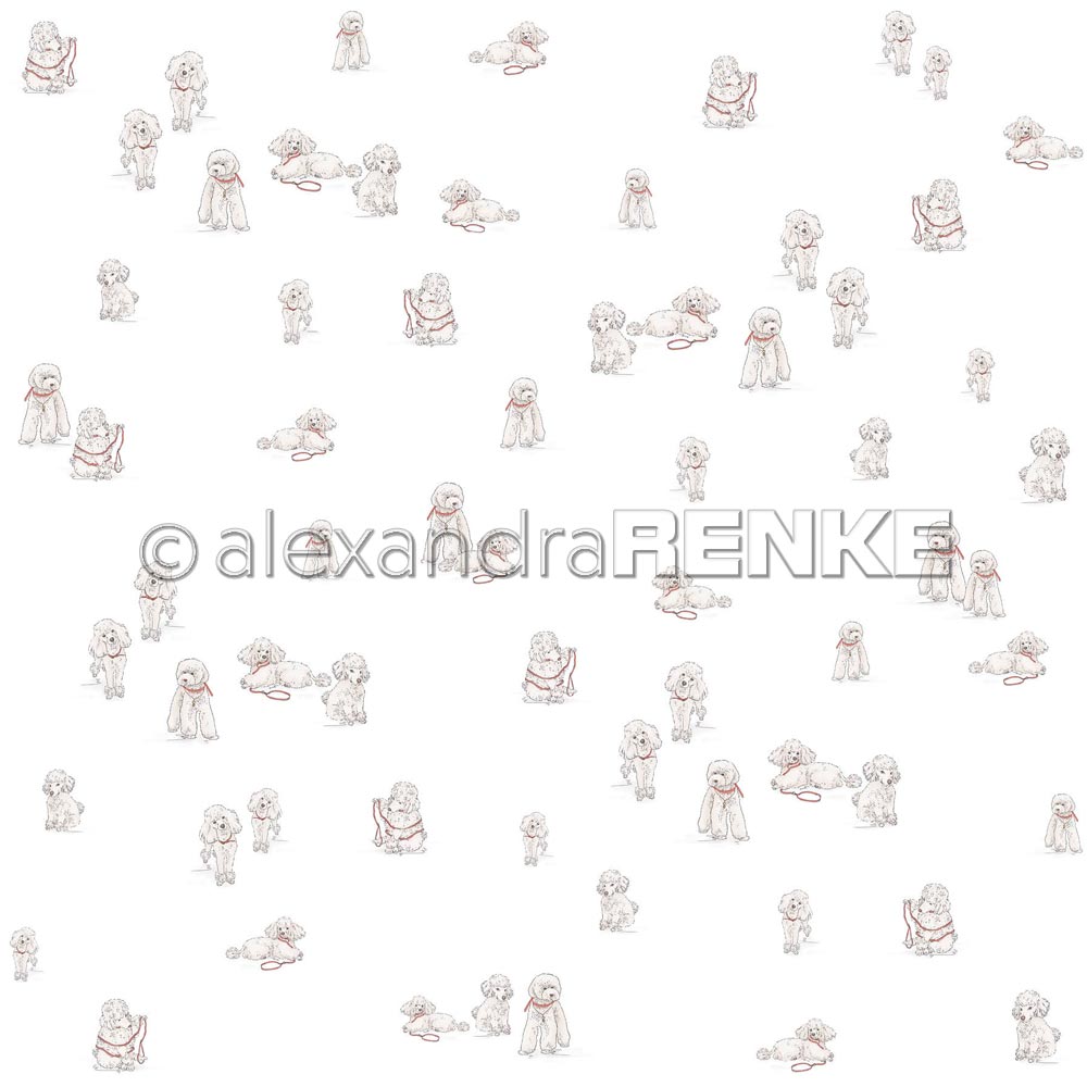 Alexandra Renke - Poodle   - Paper -  12x12"