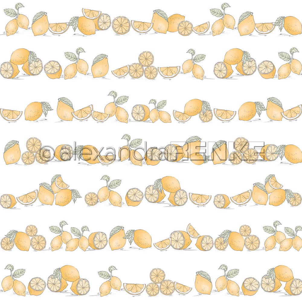 Alexandra Renke - Lemons in rows - Paper -  12x12"