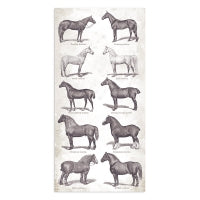 Stamperia - Romantic Horses - Collectables - 10 pk -   6 x 12"