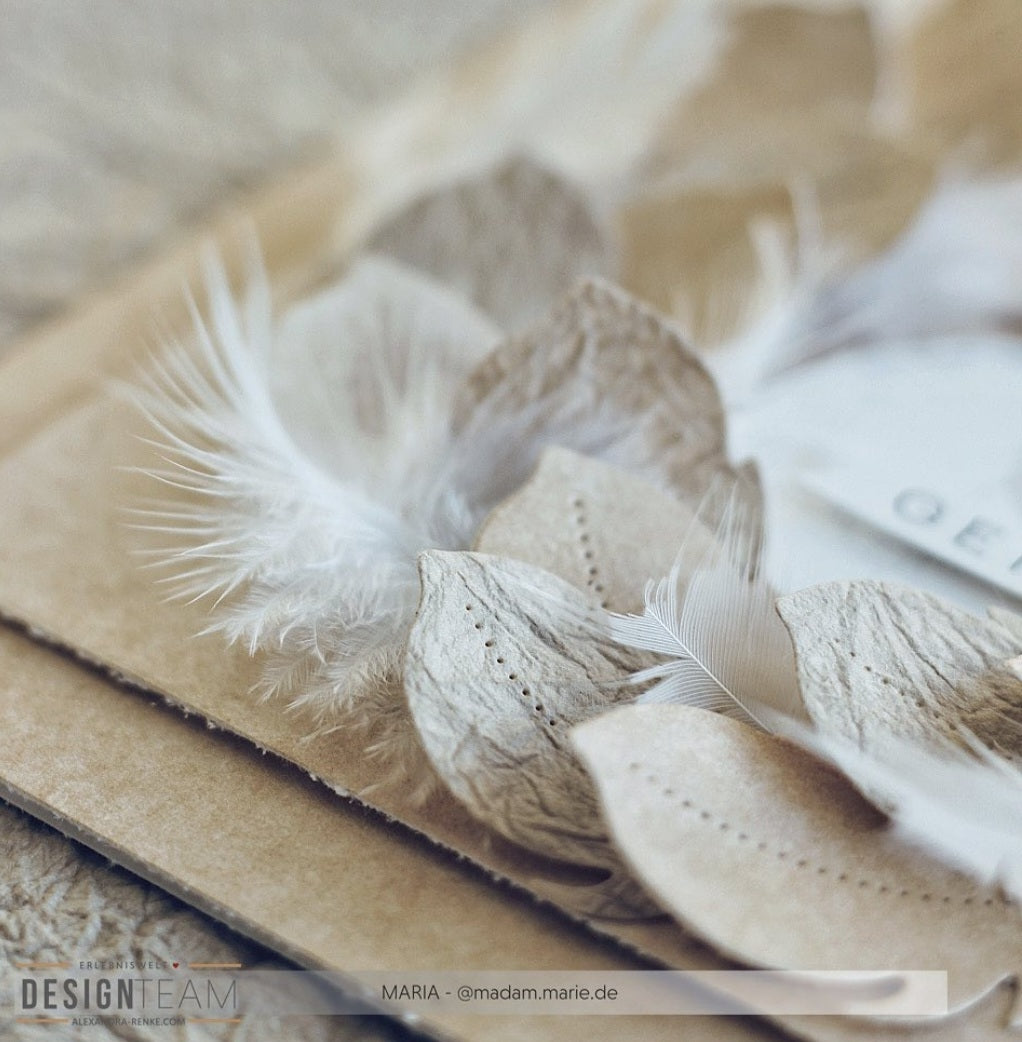 Alexandra Renke - Dies - Feather 1