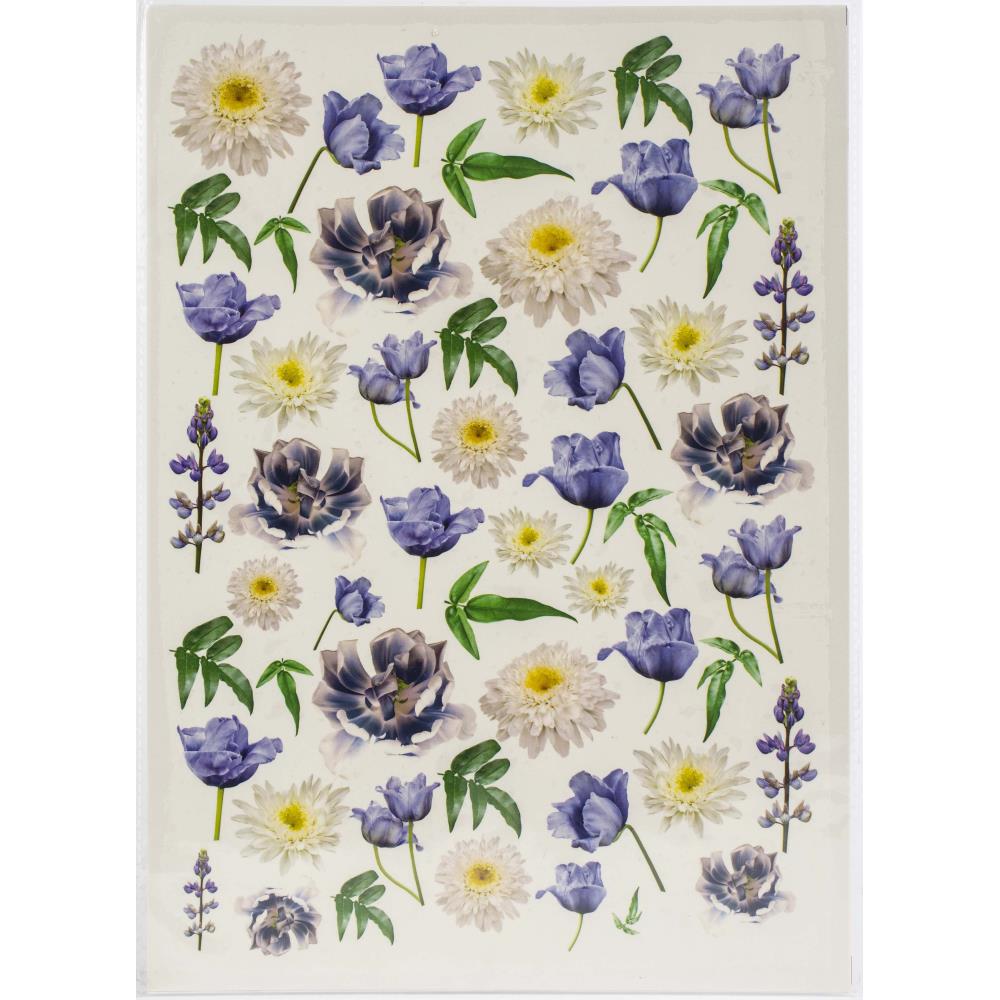 Dress my craft - Transfer Me Sheet -  A4 - Blue Tulip