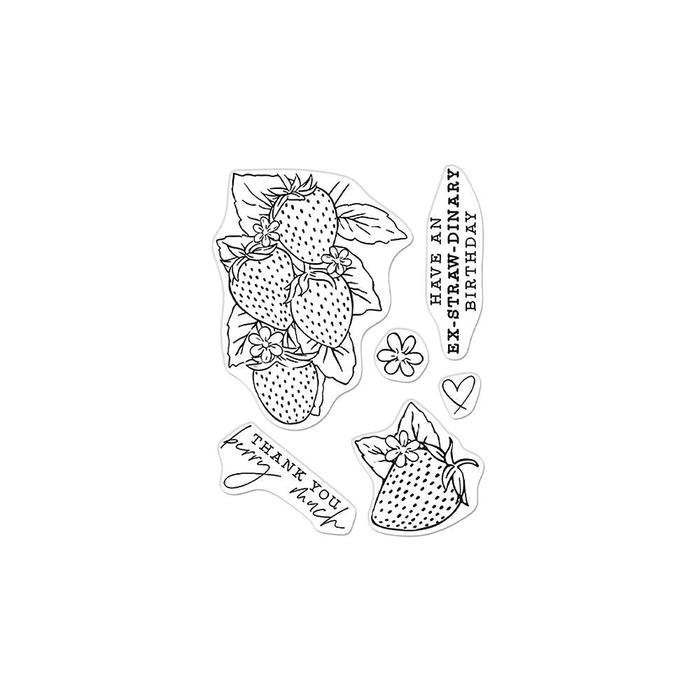 Hero Arts - Clear Stamp - Floral Strawberries