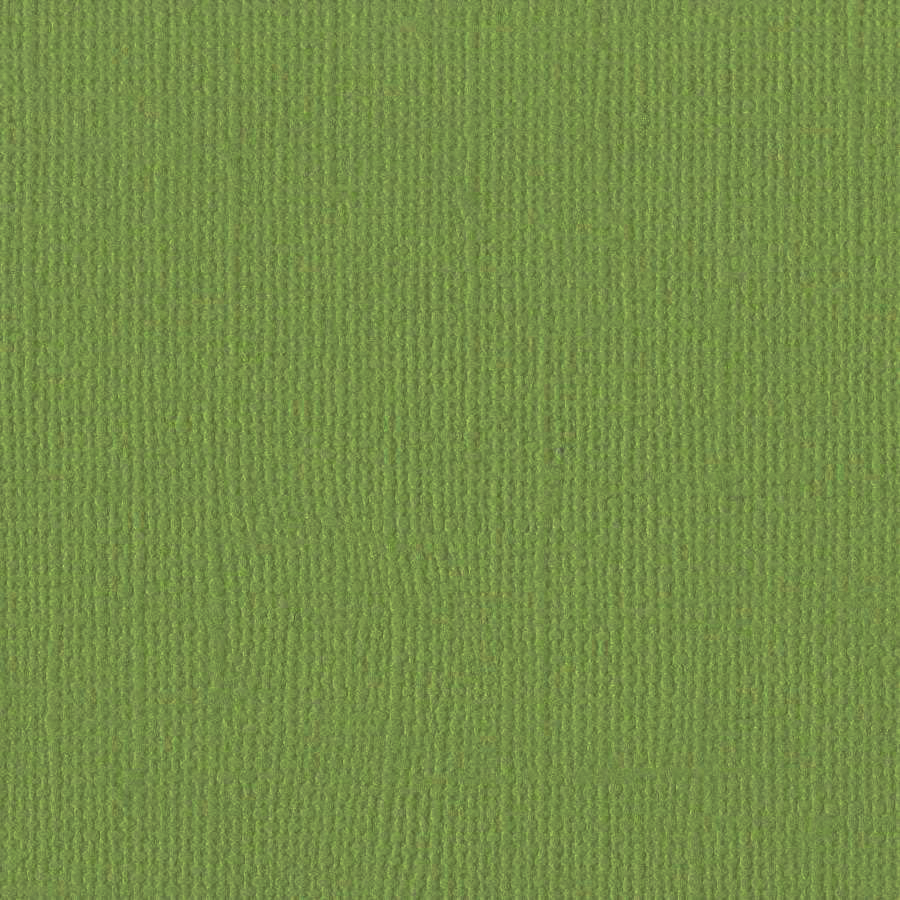 Bazzill Canvas 12 x 12 Parakeet grønn kartong