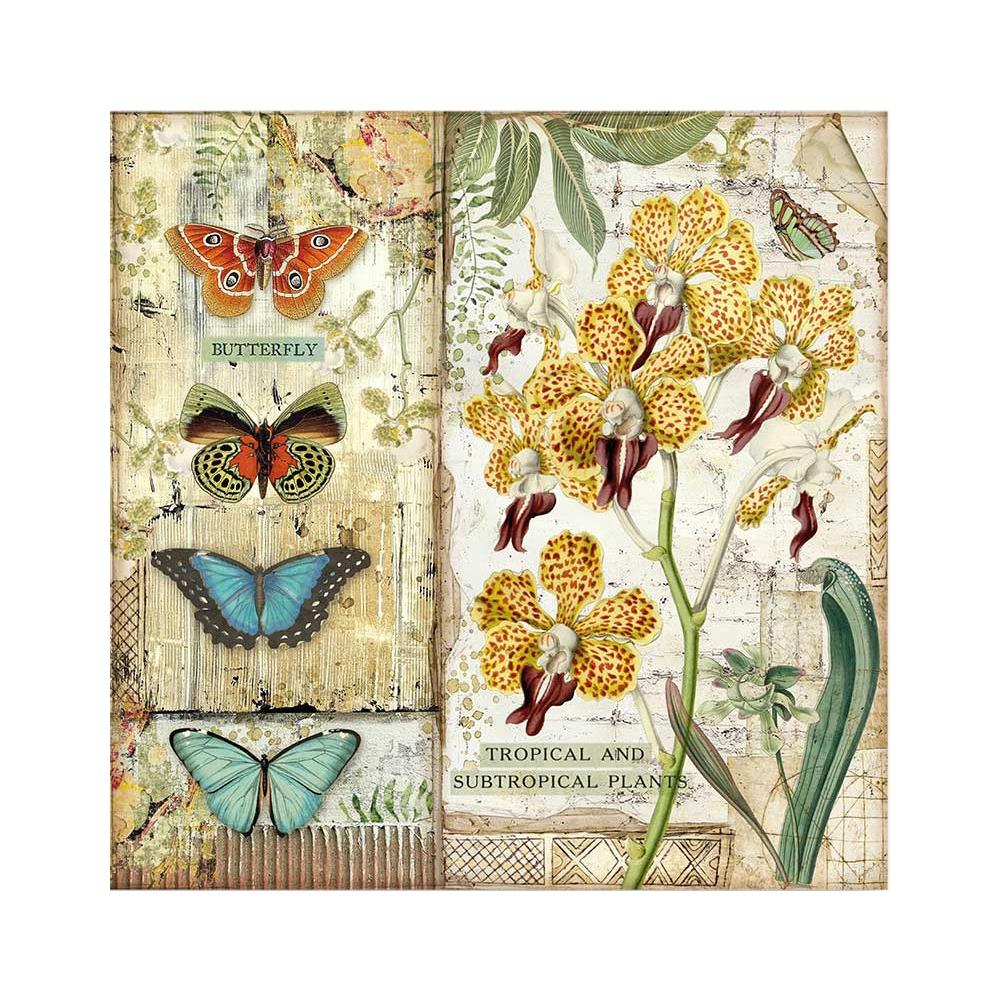 Stamperia - Amazonia - Orchid & Butterfly -    12 x 12"