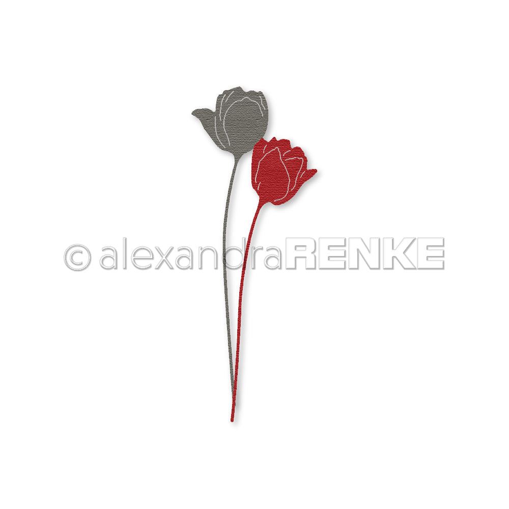 Alexandra Renke - Dies - Tulips Par
